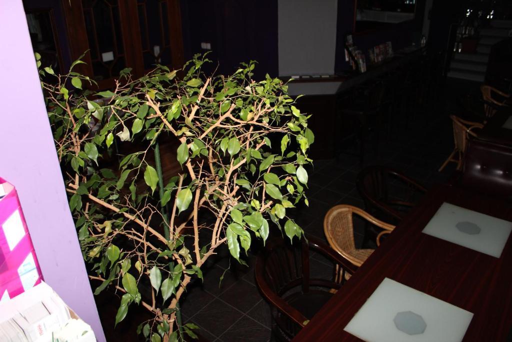 Club Hotel Praha Bagian luar foto